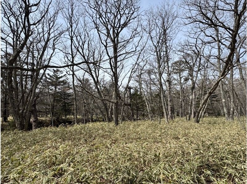 株式会社日光自然博物館 のギャラリー