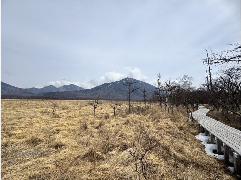 株式会社日光自然博物館 のギャラリー