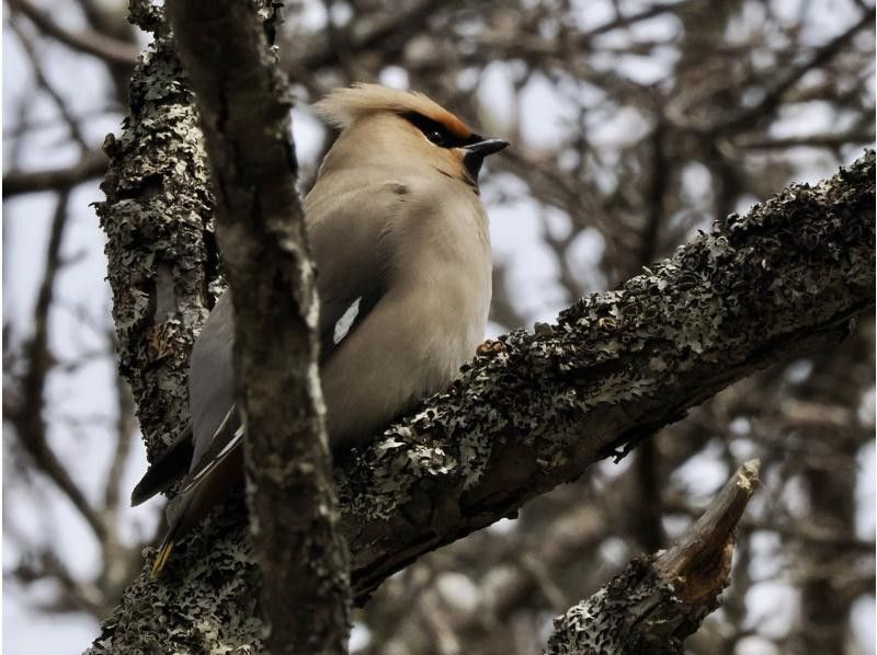 株式会社日光自然博物館 のギャラリー