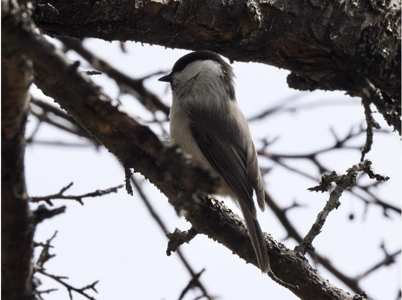 株式会社日光自然博物館 のギャラリー