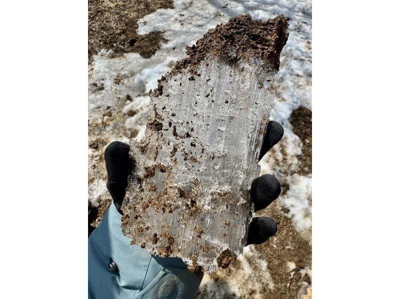 株式会社日光自然博物館 のギャラリー