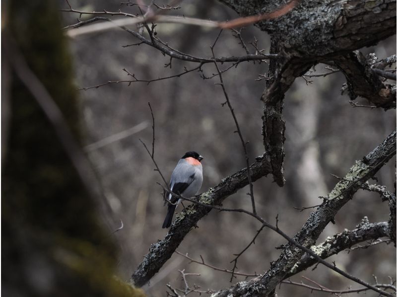 株式会社日光自然博物館 のギャラリー