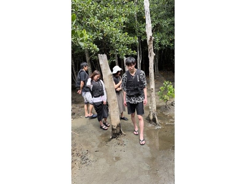 石垣島グランピングリゾートStarOcean のギャラリー