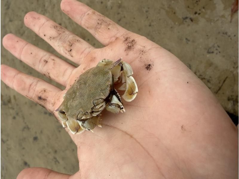 石垣島アクティビティクラブ のギャラリー