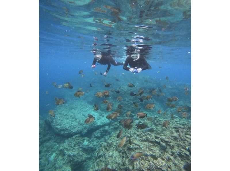 Bal field（バルフィールド） のギャラリー