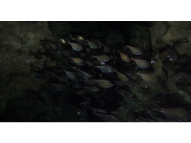 Bal field（バルフィールド） のギャラリー