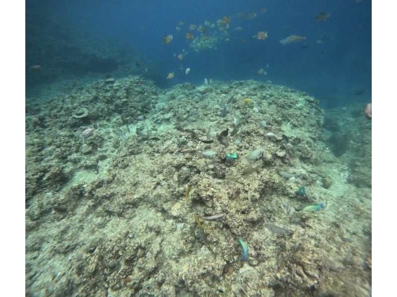 Bal field（バルフィールド） のギャラリー