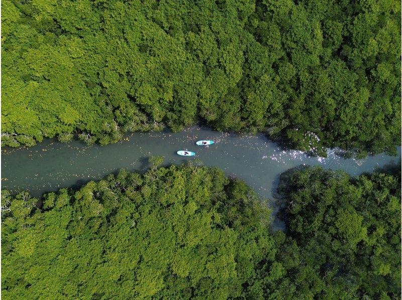 石垣島アクティビティクラブ のギャラリー