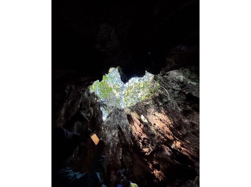 Yamakara屋久島 のギャラリー