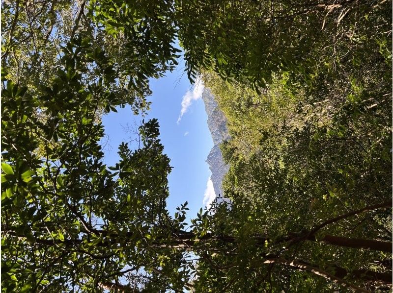 Yamakara屋久島 のギャラリー