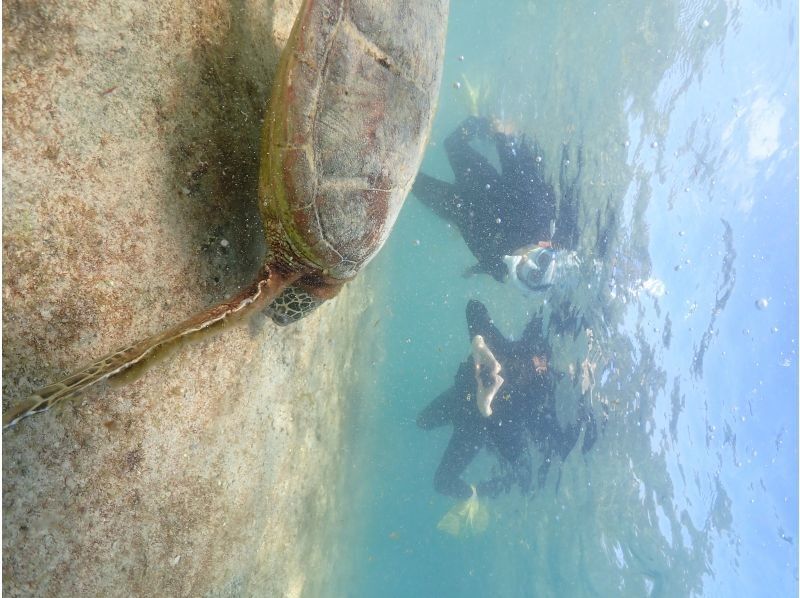 Nami宮古島 のギャラリー