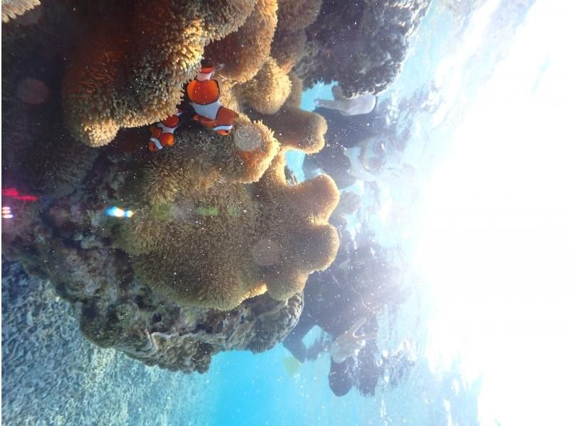 Nami宮古島 のギャラリー