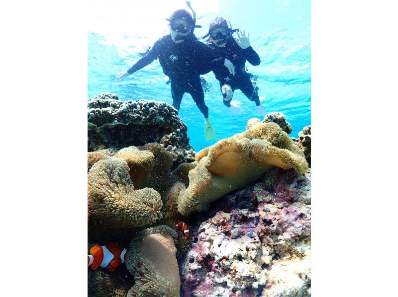 Nami宮古島 のギャラリー