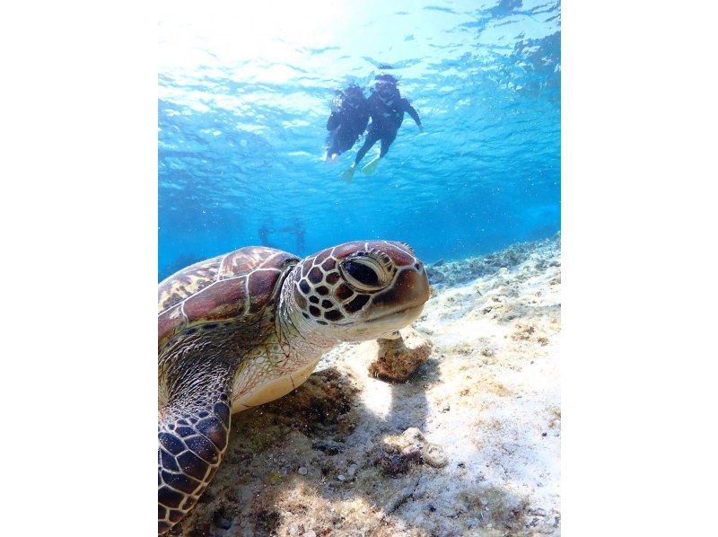 Nami宮古島 のギャラリー