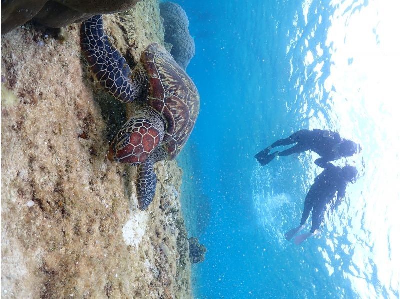 Nami宮古島 のギャラリー