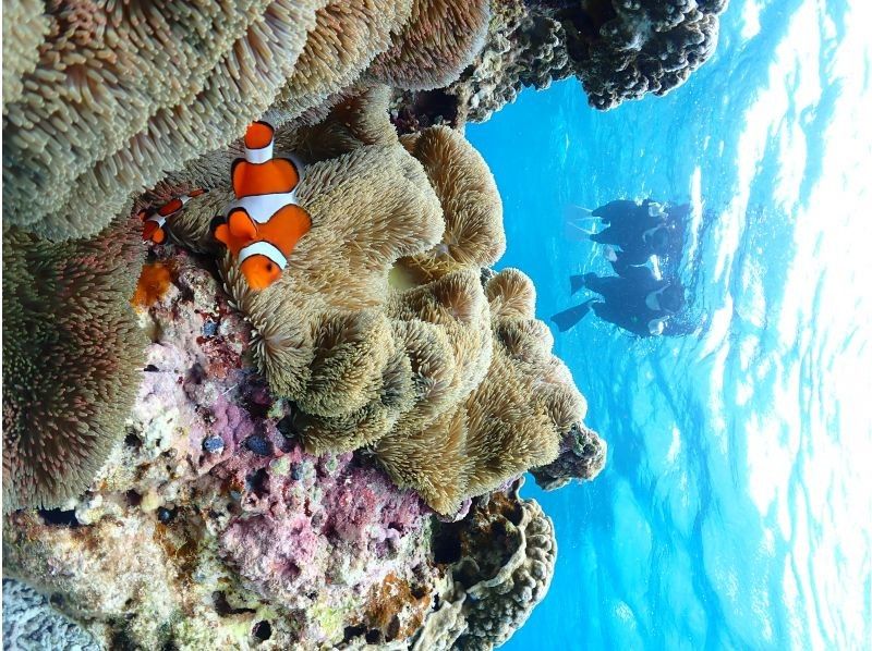 Nami宮古島 のギャラリー