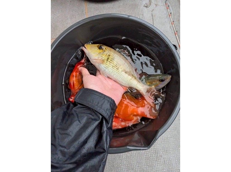 初心者専門釣り船フィッシュソング のギャラリー