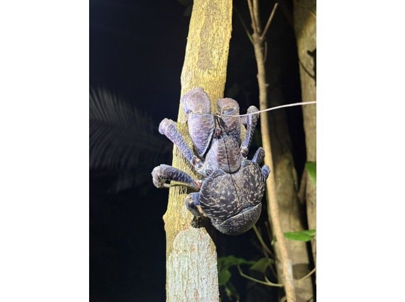 SUNSHINE MARIN 宮古島 のギャラリー