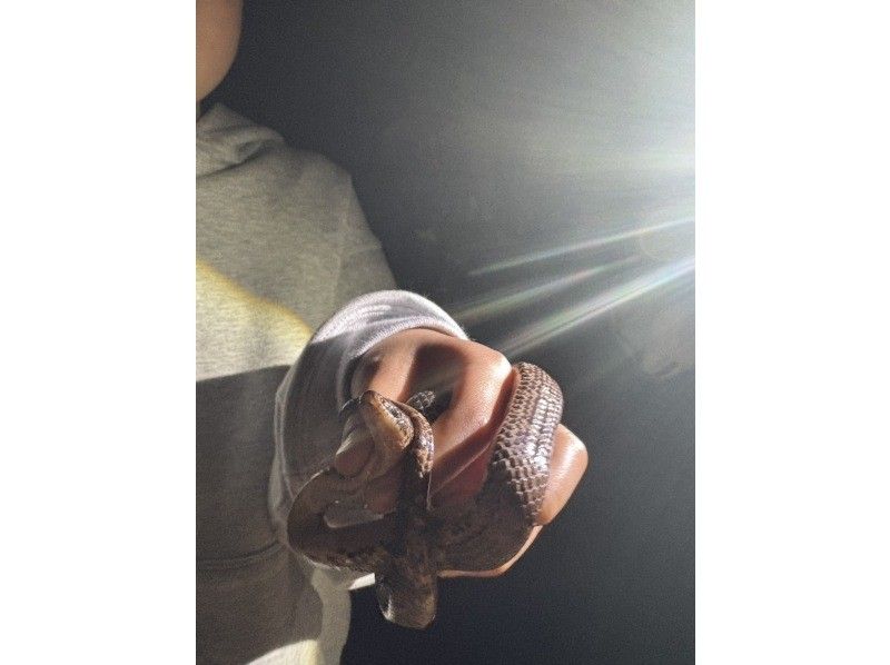 SUNSHINE MARIN 宮古島 のギャラリー