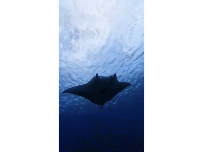 OceanStudio のギャラリー