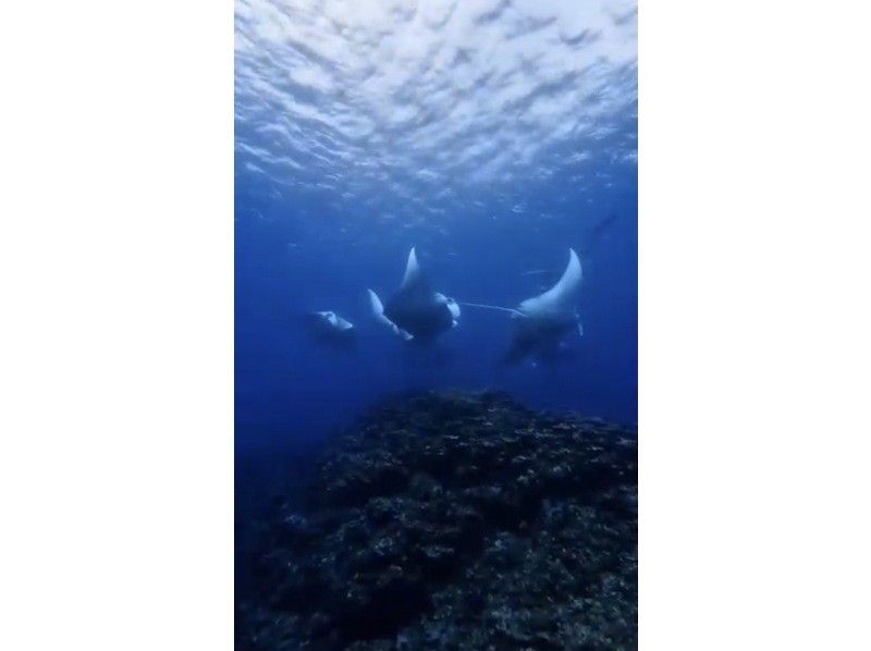OceanStudio のギャラリー