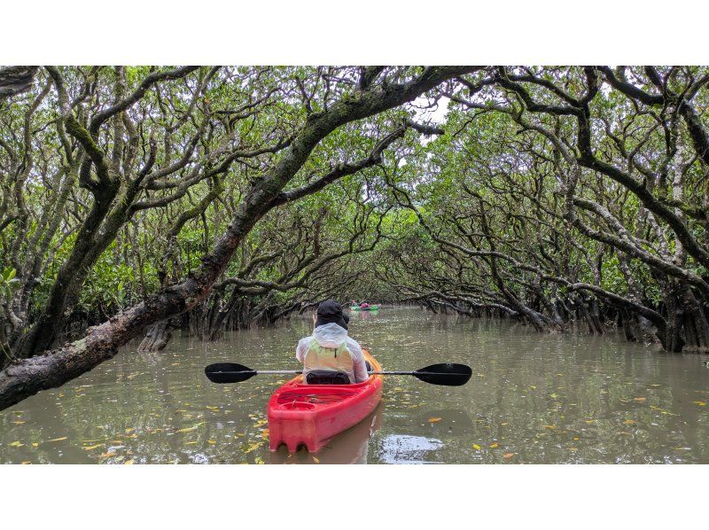 秘密基地ウトロベース のギャラリー