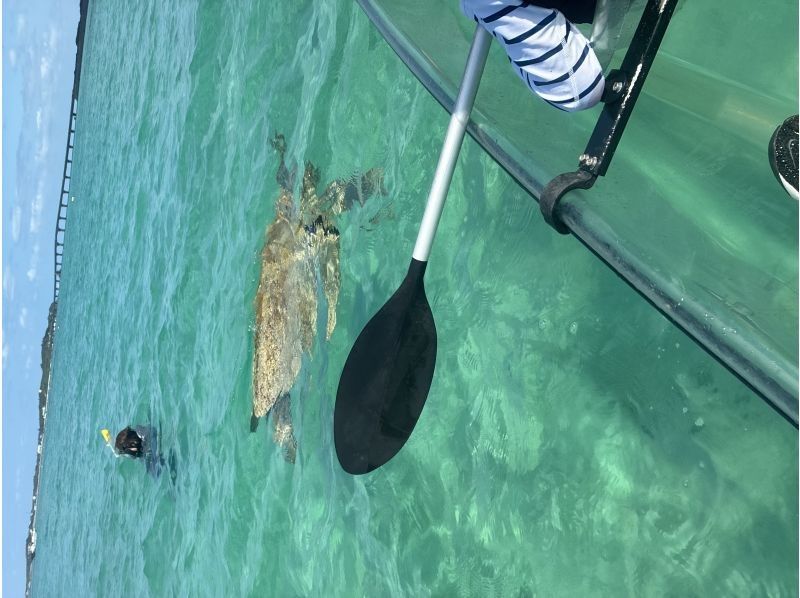 COCOLAN（ココラン） のギャラリー