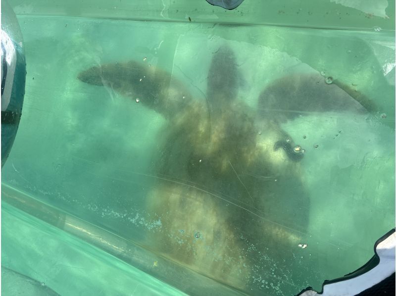 COCOLAN（ココラン） のギャラリー