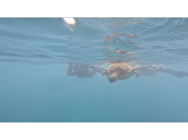エバーブルー屋久島(EVER BLUE YAKUSHIMA) Reservations・Access 