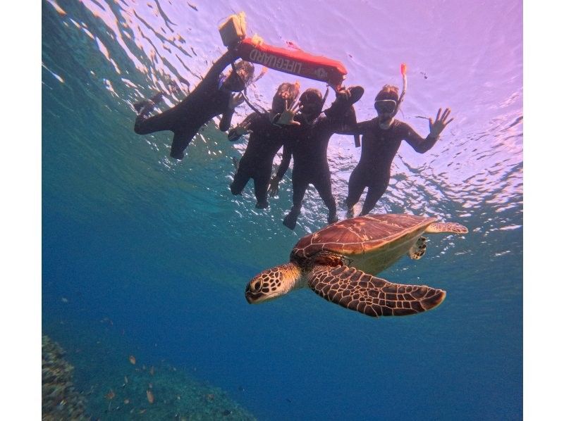 Tomorl のギャラリー