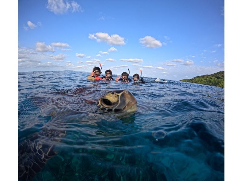 Tomorl のギャラリー