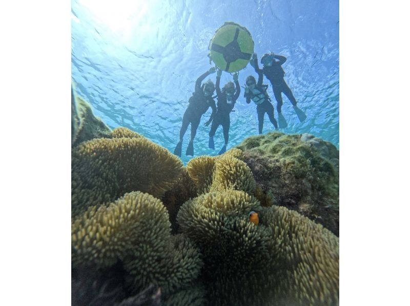 OCEAN LIFE のギャラリー