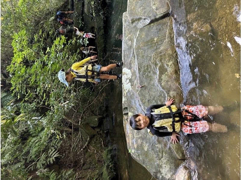 西表島コモレビトリップ のギャラリー