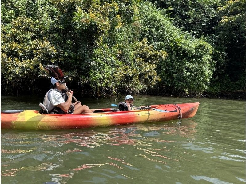 西表島コモレビトリップ のギャラリー