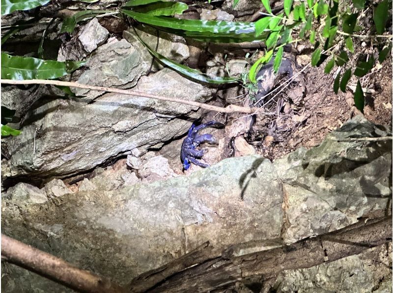 SUNSHINE MARIN 宮古島 のギャラリー