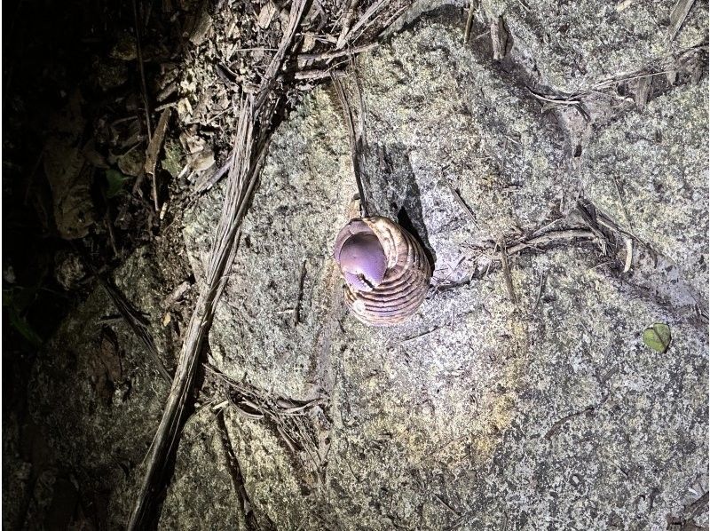 SUNSHINE MARIN 宮古島 のギャラリー