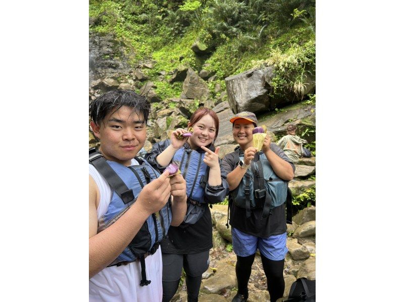 西表島カヌーツアー風車 のギャラリー