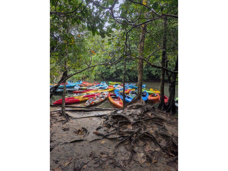 西表島カヌーツアー風車 のギャラリー