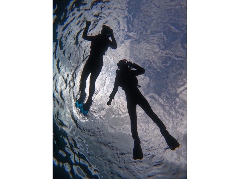 西表島 ADVENTURE PiPi（ピピ） のギャラリー