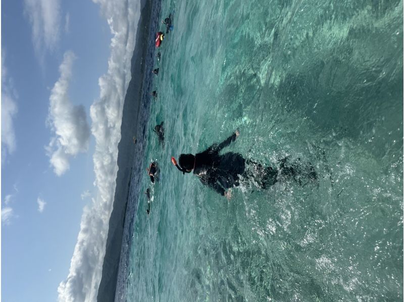 西表島 ADVENTURE PiPi（ピピ） のギャラリー