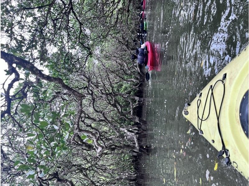 マングローブ茶屋 のギャラリー