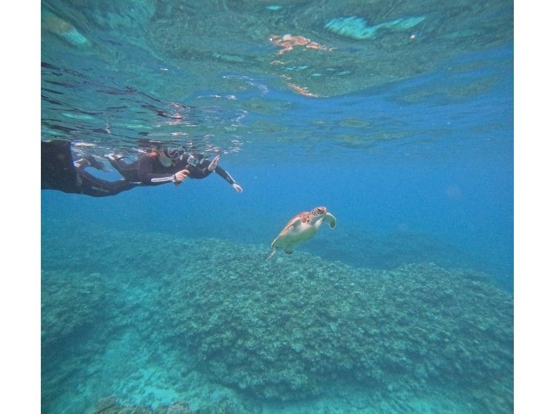 Tomorl のギャラリー