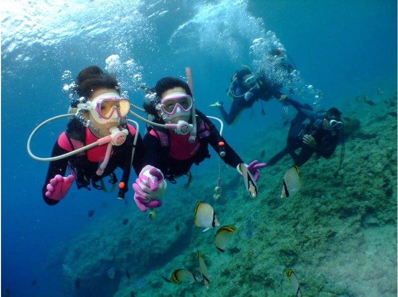 ダイビングショップめんそーれ(Okinawa diving mensore) のギャラリー