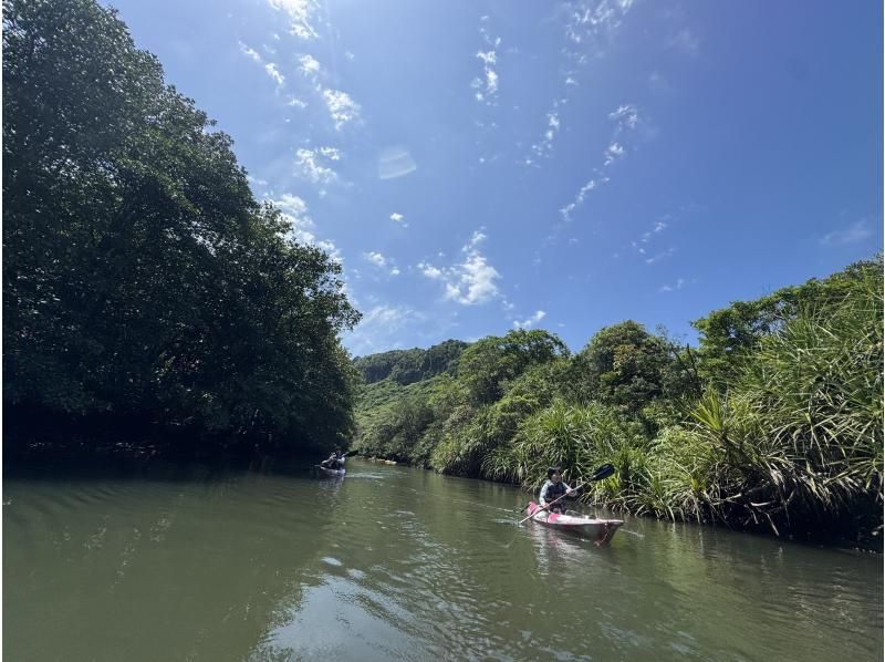 ブルーシーズン西表(BLUE SEASON IRIOMOTE) のギャラリー