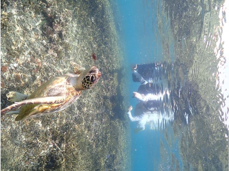 Nami宮古島の口コミ・体験談一覧 | アクティビティジャパン