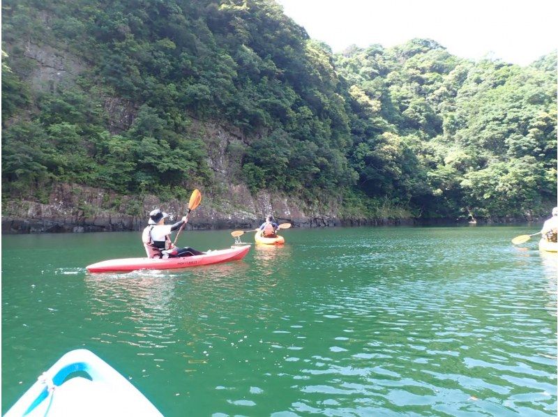 屋久島フィールドガイド スピニカ(YAKUSHIMA FIELD GUIDE SUPINIKA