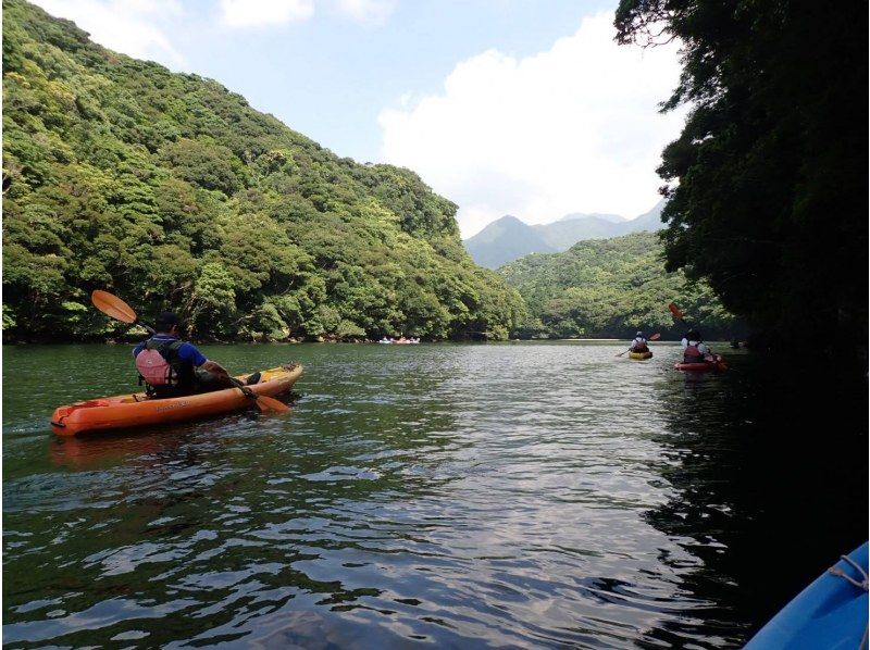 屋久島フィールドガイド スピニカ(YAKUSHIMA FIELD GUIDE SUPINIKA