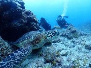 海の自遊人 海遊びネジ Reservations・Access・Operating hours | ActivityJapan
