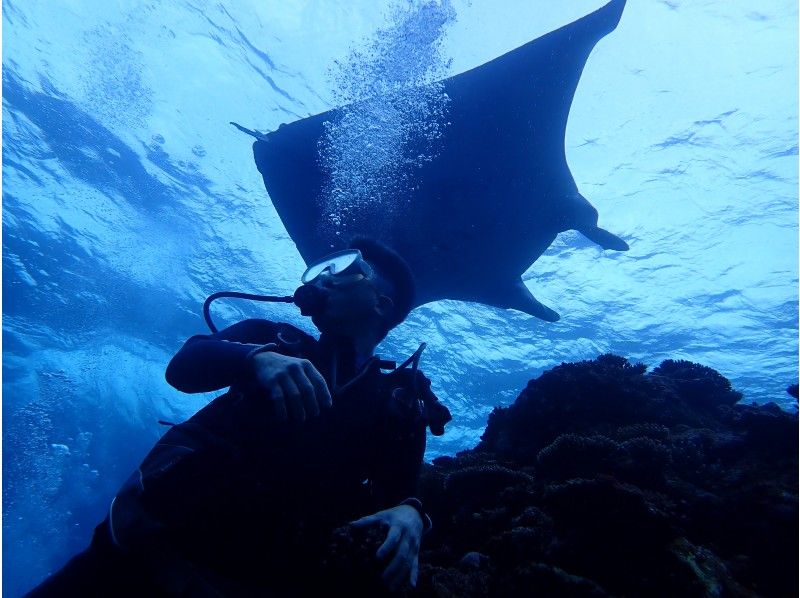 シージャック石垣島(SeaJack divefamily) のギャラリー