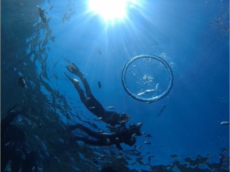 沖縄ダイビング 美ら海グーニーズ のギャラリー